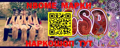 гашик Гай