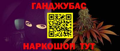 гашик Гай