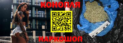 гашик Гай