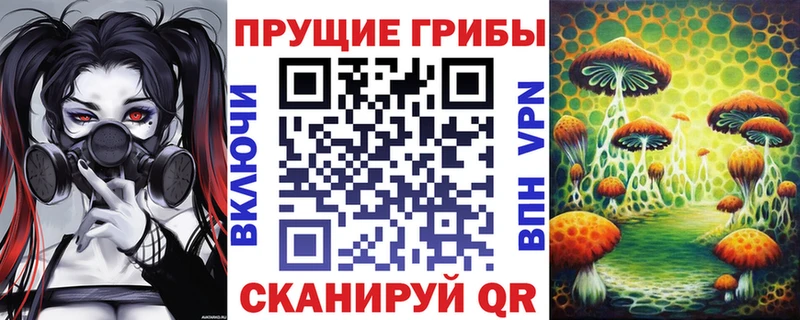 Псилоцибиновые грибы ЛСД  мега ссылка  Унеча 