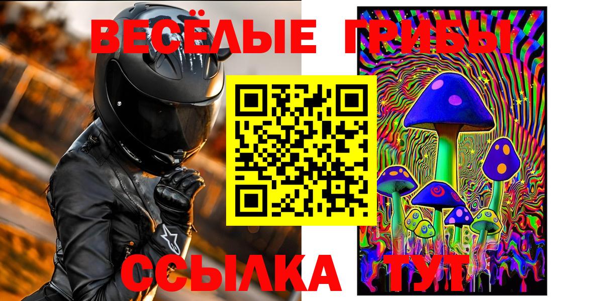 Псилоцибиновые грибы GOLDEN TEACHER Унеча