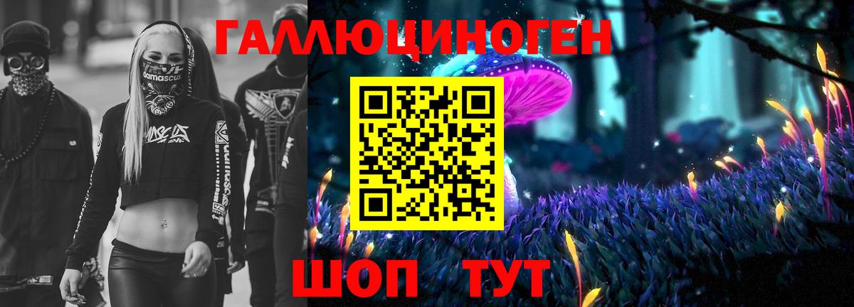 Псилоцибиновые грибы Psilocybe  Вход с VPN  Унеча 